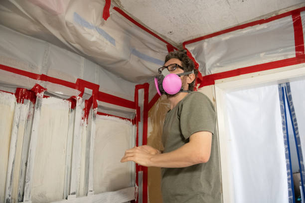 Best Mold Damage Restoration  in Kalaeloa, HI
