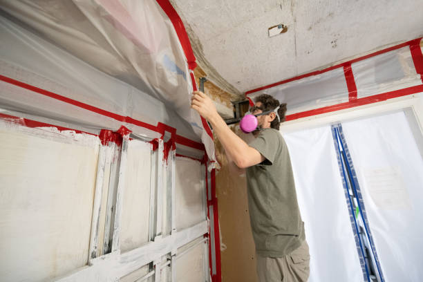 Best Mold Documentation for Insurance Claims  in Kalaeloa, HI