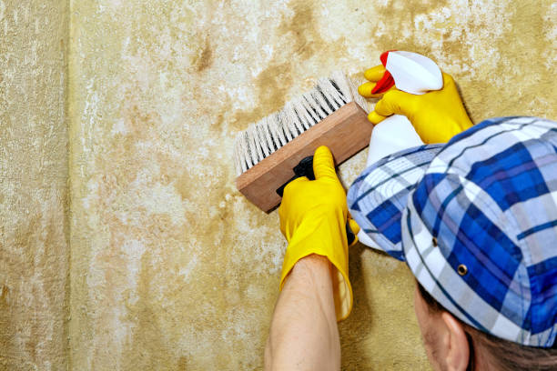 Best Indoor Air Quality Assessment  in Kalaeloa, HI